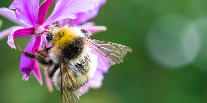 WATCH THIS SPACE*It's September - the beginning of meteorological autumn! The Re-B team continues to work on a rich menu of interesting initiatives for the new season... 