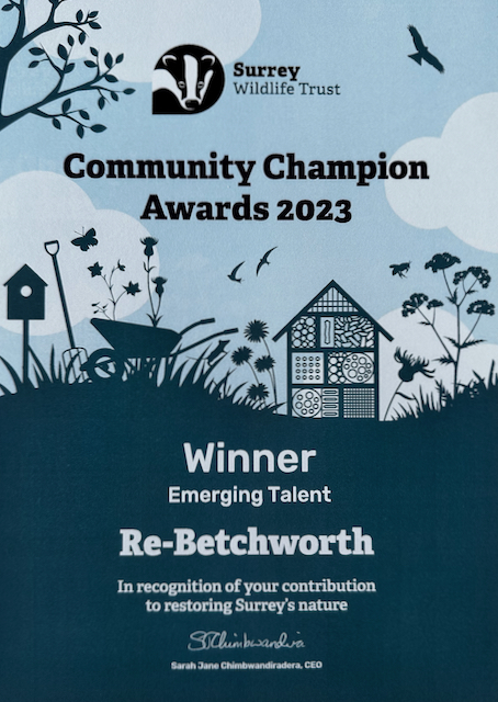 Community Champion Award